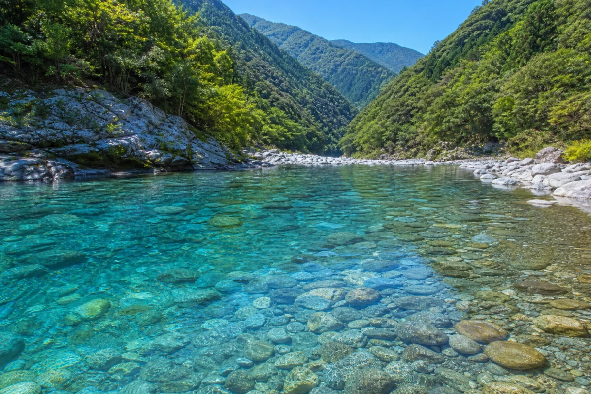 高知県西部の川の風景