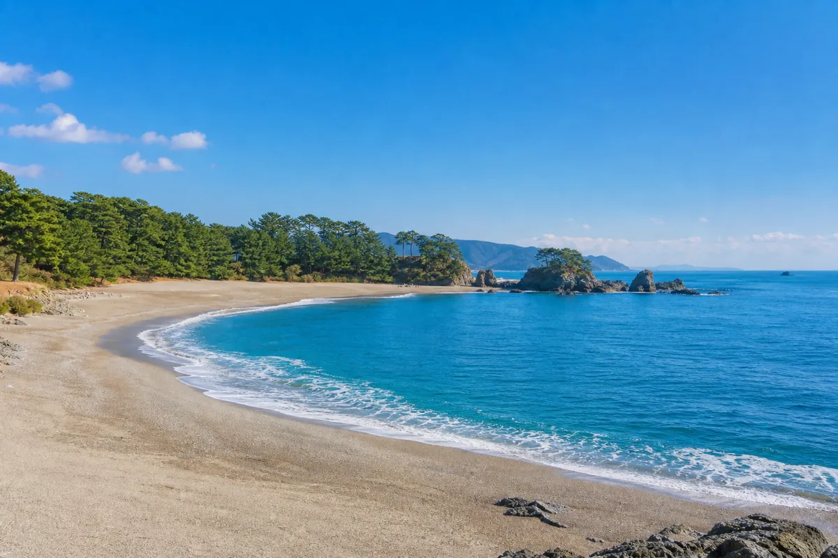 弓なりに続く砂浜と太平洋